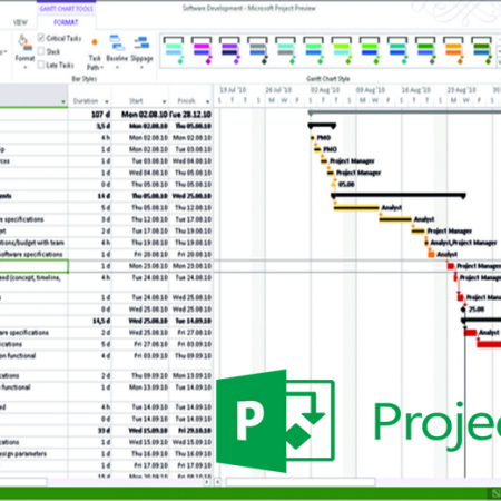 MS Project 2019 – Nivel 1