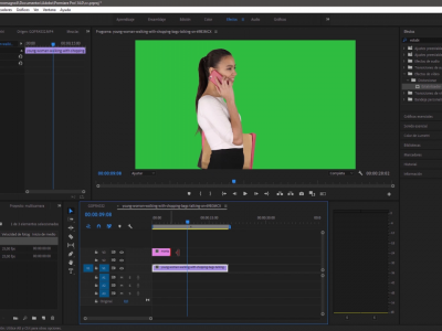pantalla Premiere Pro