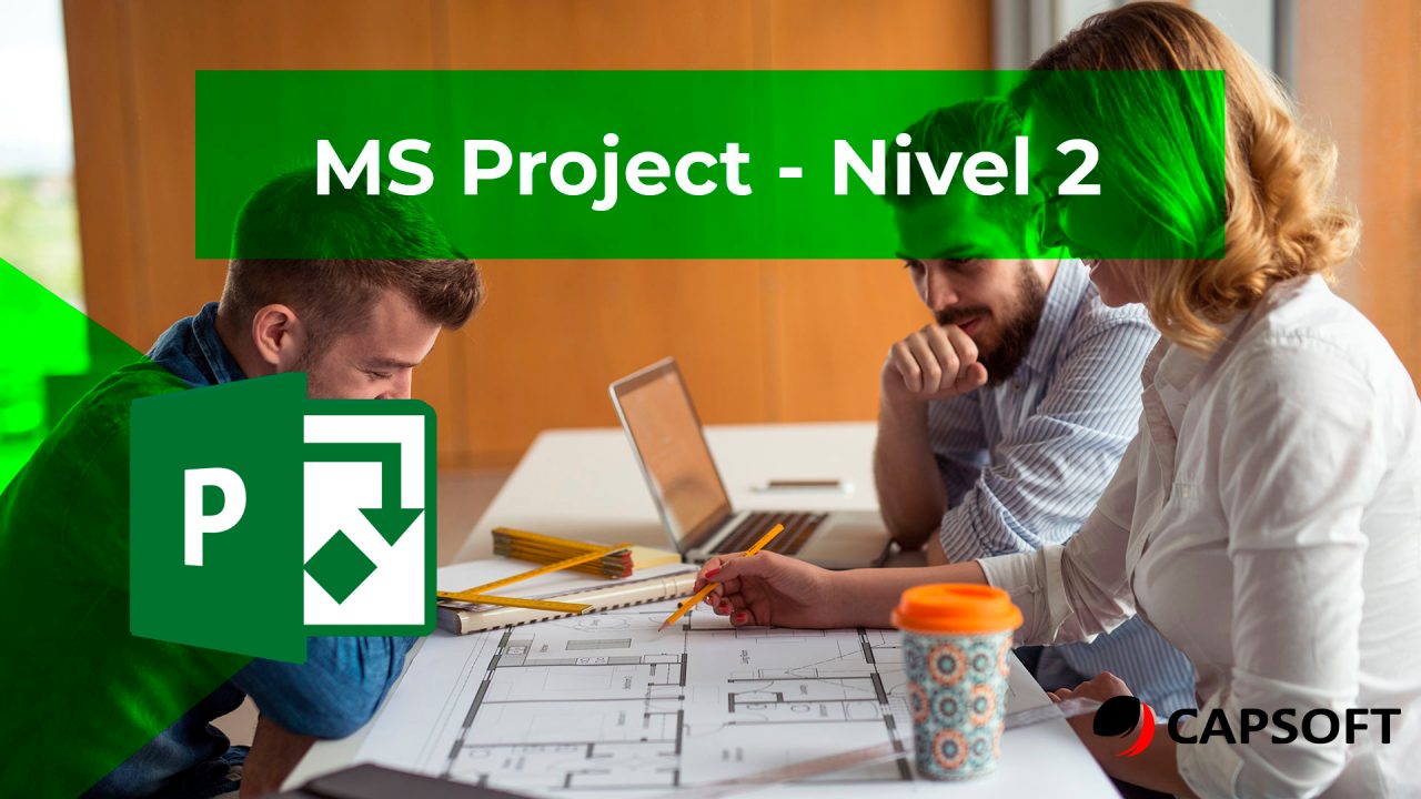 msproject-2 msproject-2