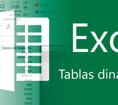 Tablas Dinámicas con MS Excel