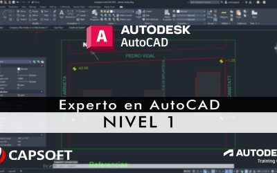 autocad nivel 1 Experto en AutoCAD 2D – Nivel 1